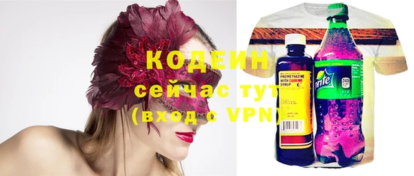 дживик Семилуки