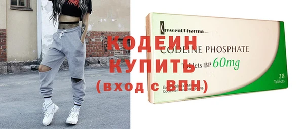 дживик Семилуки