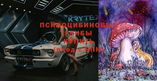 тгк Снежинск