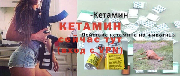 дживик Семилуки
