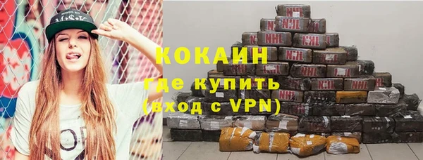 дживик Снежногорск