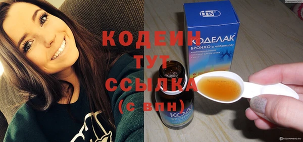 дживик Семилуки
