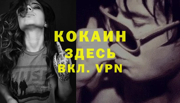 дживик Семилуки